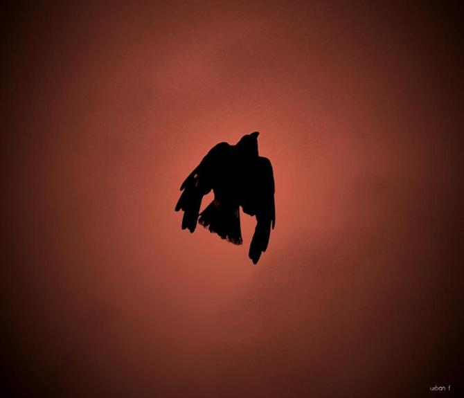 BzaNaPrCAAAB6Wp.jpg large