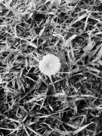 B3_upv3CEAAq2sH.jpg large