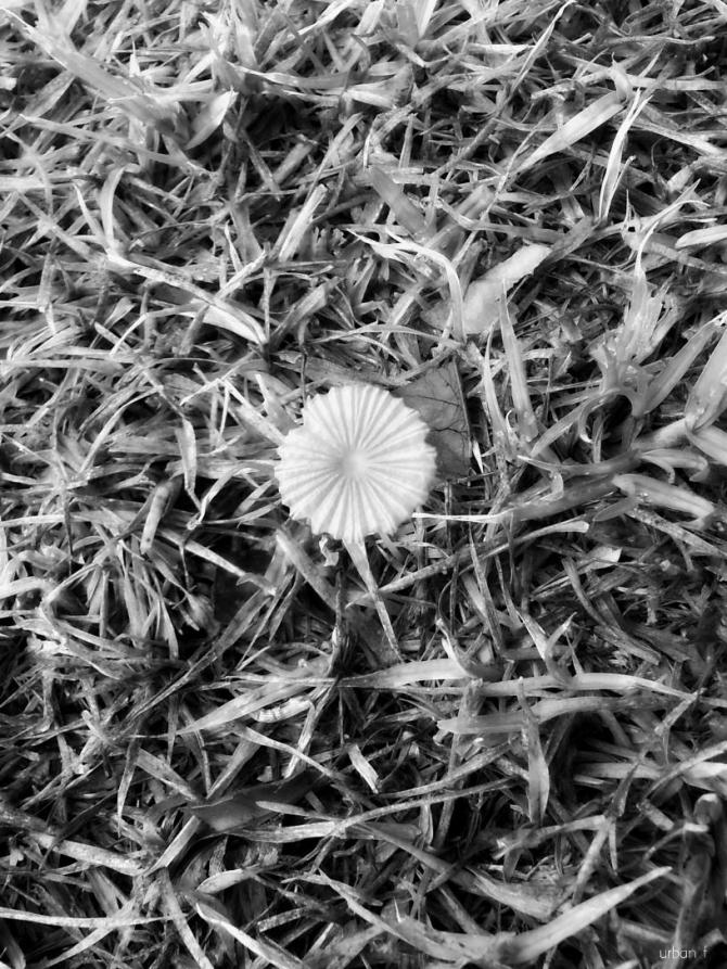 B3_upv3CEAAq2sH.jpg large