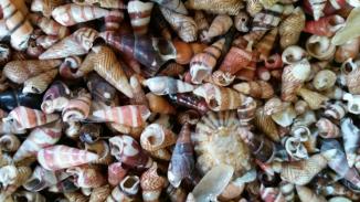 CG3CpUIUYAAD9E5.jpg large