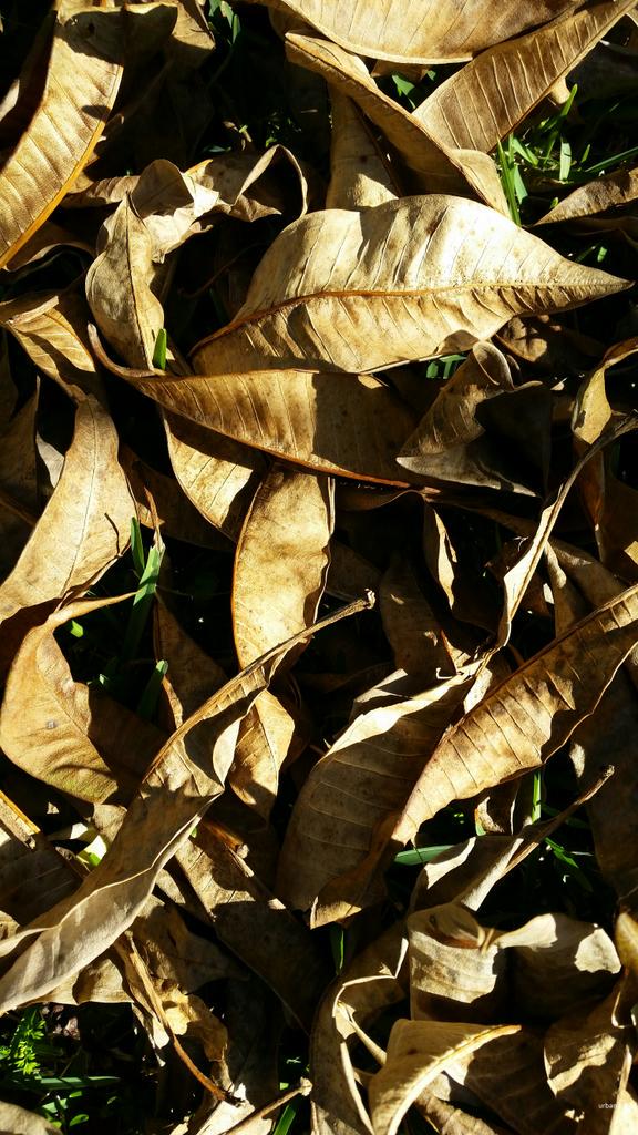 CG6EBt8UIAAmRj2.jpg large