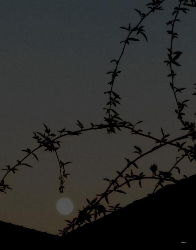 CGmq2DYU8AArh_g.jpg large