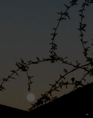 CGmq2DYU8AArh_g.jpg large