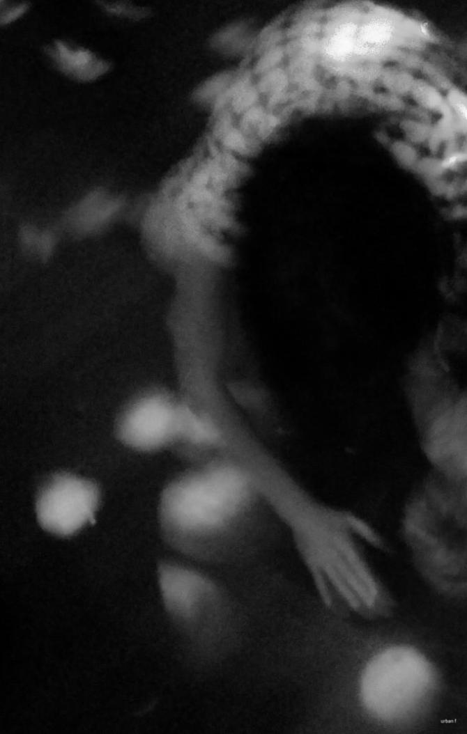 CU5LE_CUYAAK1gZ.jpg large